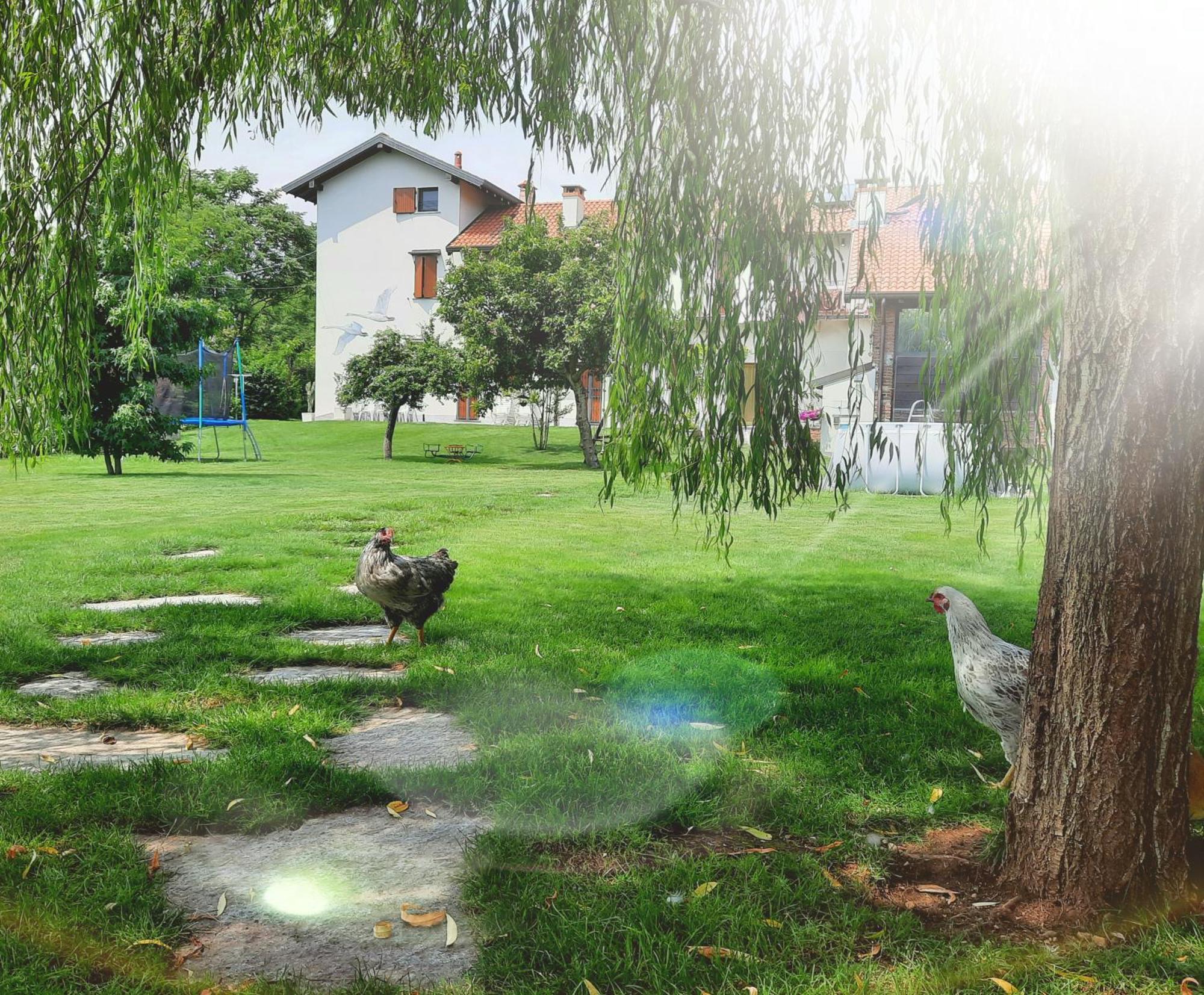 Cascina Al Ponte Daire Nosate Oda fotoğraf
